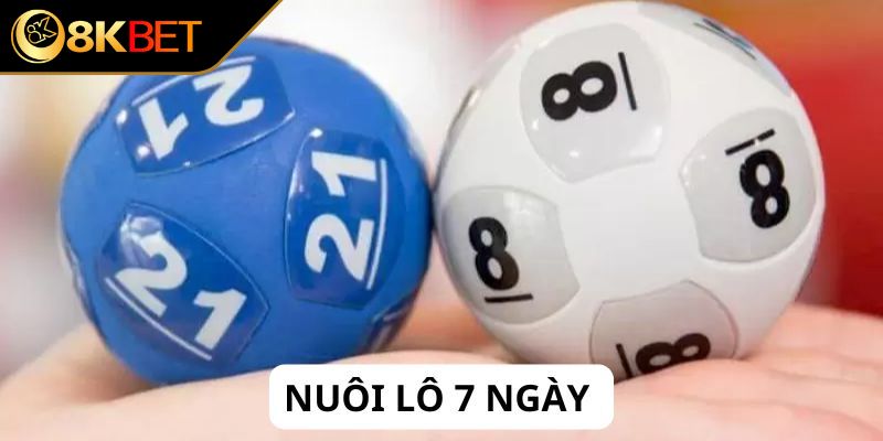 Sơ lược chung về nuôi lô 7 ngày&nbsp;